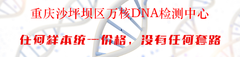 重庆沙坪坝区万核DNA检测中心