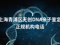 上海青浦区无创DNA亲子鉴定正规机构电话