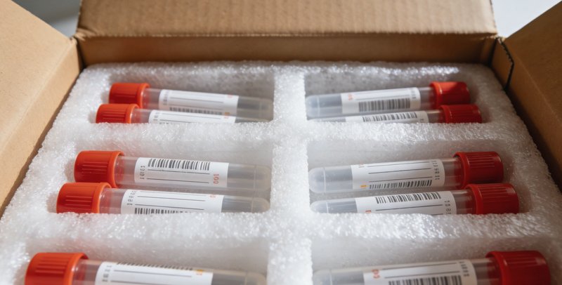 图片:一位女性在查看家族树状图