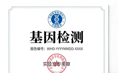 面部血管纤维瘤典型皮疹示意图