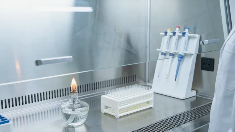 肿瘤细胞（深染）与正常细胞在显微镜下的对比示意图