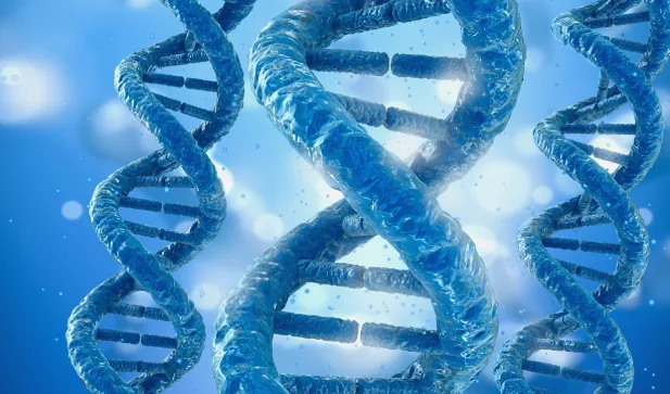 HLA基因结构卡通图解