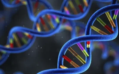 克罗恩病与溃疡性结肠炎肠道病变部位对比示意图