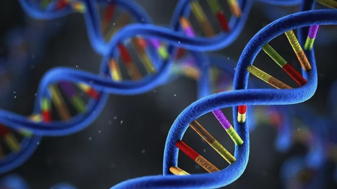 克罗恩病与溃疡性结肠炎肠道病变部位对比示意图