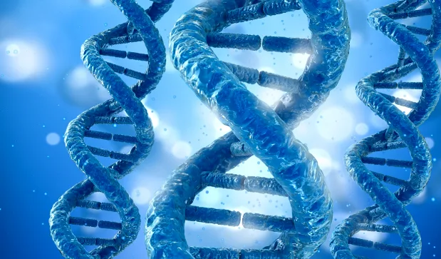 体检报告单上铁蛋白指标异常的箭头特写