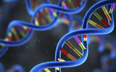 产检医生与孕妇拿着检查单沟通的示意图