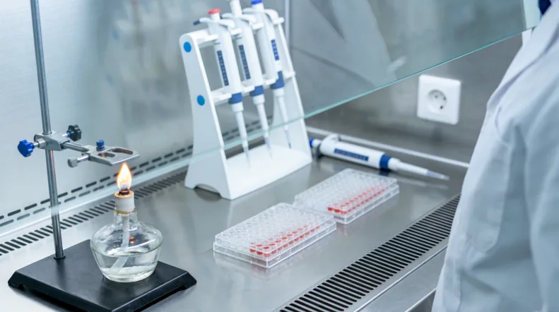 医保报销目录手册的特写图片