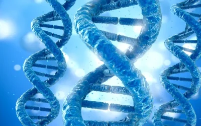 正常男性XY与女性XX染色体核型示意图