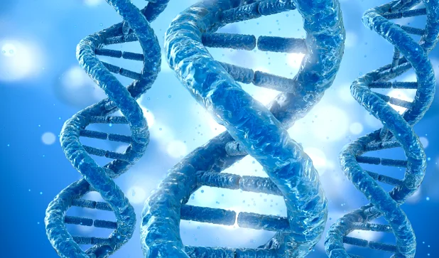 正常男性XY与女性XX染色体核型示意图