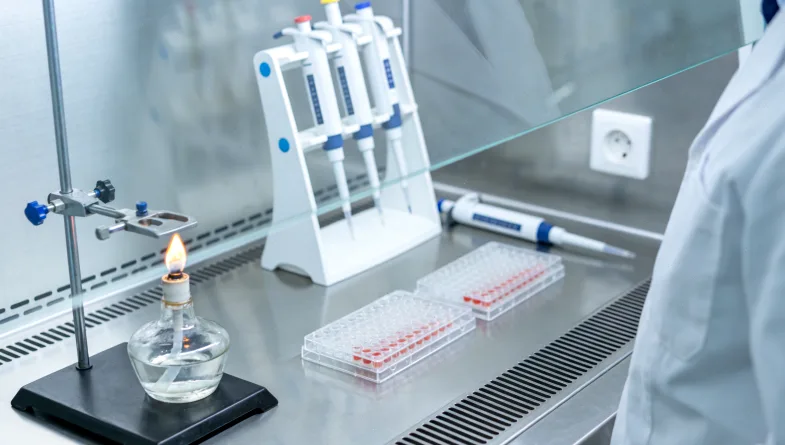 “热肿瘤”与“冷肿瘤”免疫微环境对比漫画