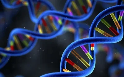 显微镜下胚胎师进行胚胎活检操作