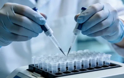 一个色彩丰富的蔬果沙拉碗