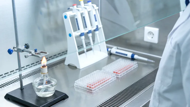 肿瘤异质性示意图：野生型与突变型细胞混杂