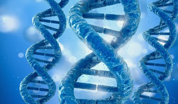 形象化的基因双螺旋链条与药物分子互动示意图