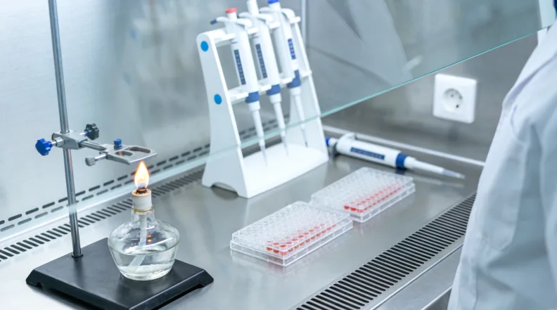 MET靶向药与免疫治疗协同作用示意图