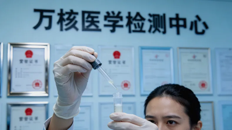 BRAF突变在MAPK信号通路中的位置示意图