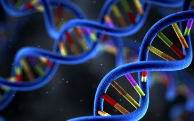 BRCA基因修复DNA损伤的卡通示意图