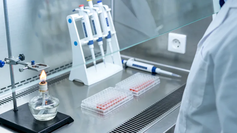 体细胞突变与胚系突变对比示意图