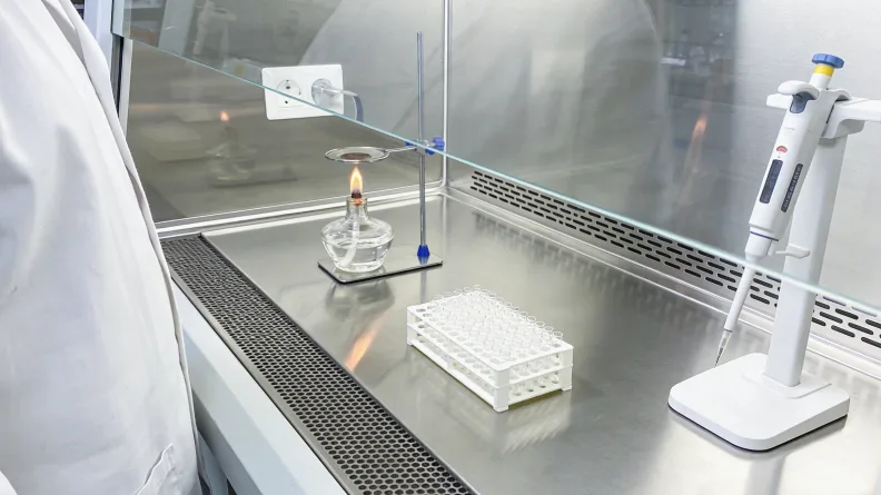 一个色彩丰富的“彩虹餐盘”示意图,分区明确