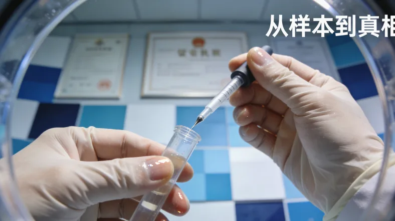 PARP抑制剂“合成致死”作用机制图解