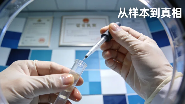 DNA双链与修复蛋白示意图