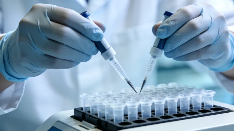 基因检测报告关键结论（如突变点位）的特写镜头