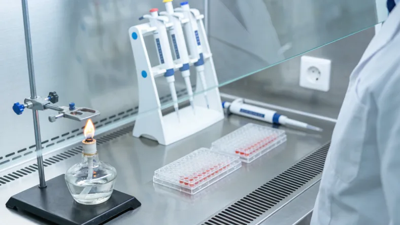 展示血常规、肝肾功能关键指标的化验单示意图