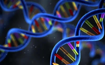 乳腺癌21基因检测报告示意图，突出“复发评分”结果