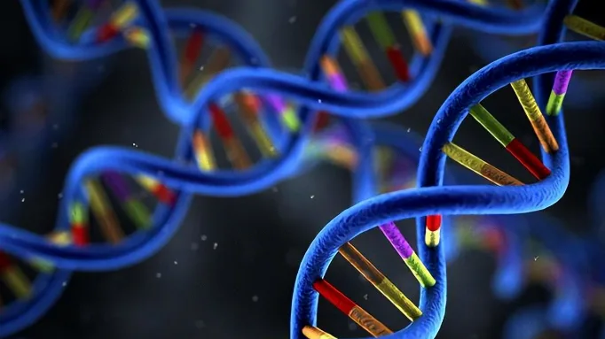 乳腺癌21基因检测报告示意图，突出“复发评分”结果