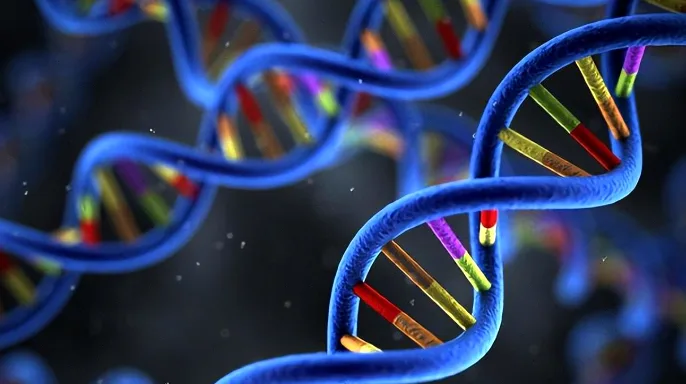 BRAF V600E突变激活MAPK信号通路示意图