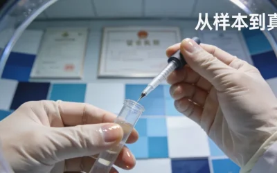 两份对比的基因检测报告特写