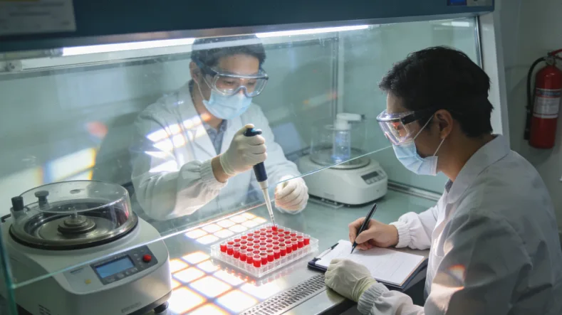 基因检测报告重点部分（如突变列表）特写