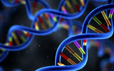 血液样本中分离循环肿瘤DNA示意图