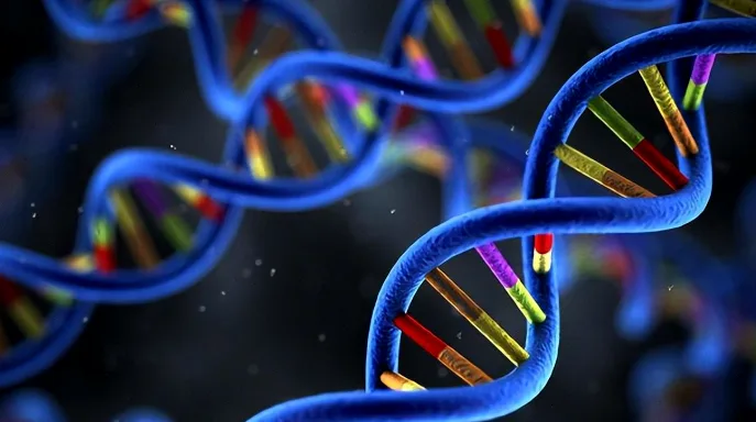 血液样本中分离循环肿瘤DNA示意图