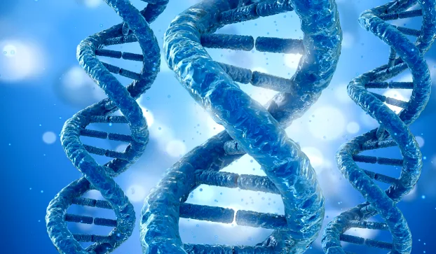 医生与患者共同查看基因检测报告