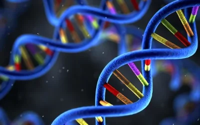 ALK基因融合示意图动画