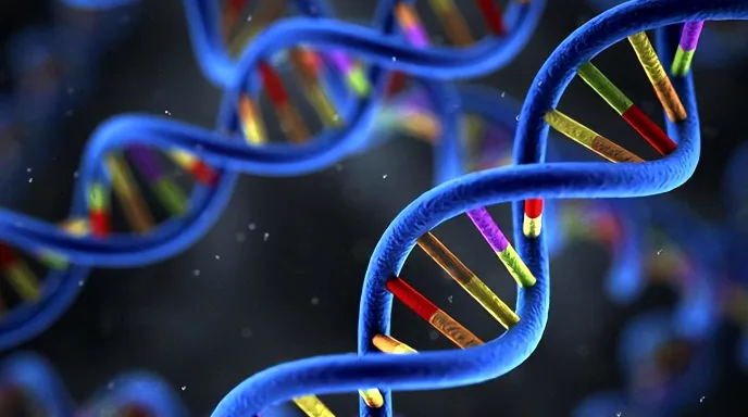 ALK基因融合示意图动画