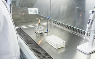 肾脏滤过功能示意图