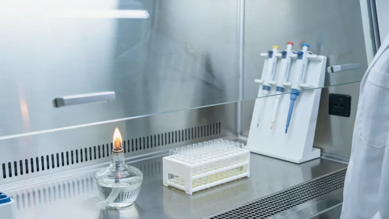 基因图谱与IgE抗体分子示意图对比