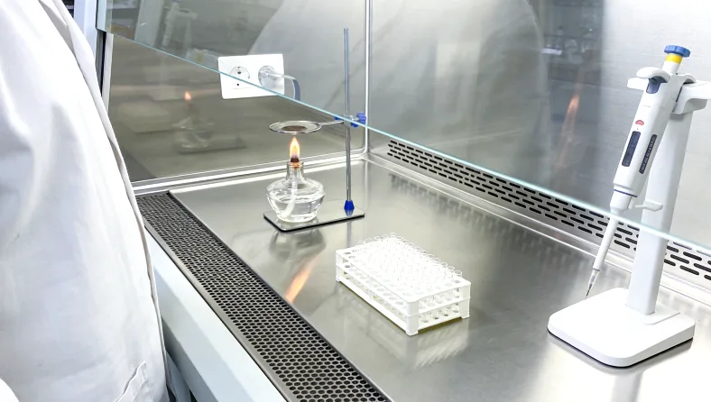 一份消费级基因检测报告截图,重点处标出“小麦过敏风险升高”