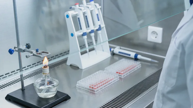 基因检测报告片段特写，用箭头标注“风险增高”字样