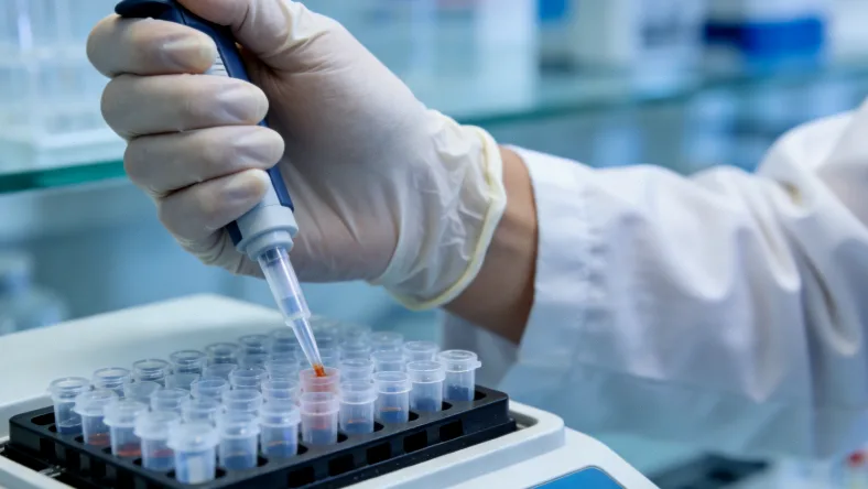 信息图：快、中、慢三种药物代谢类型的简单示意图