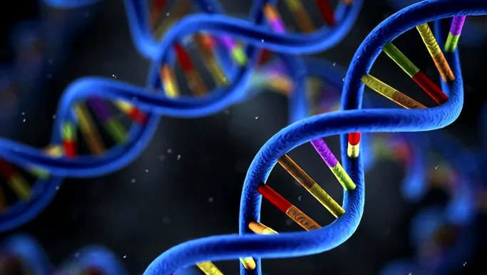 血液中循环肿瘤DNA（ctDNA）概念图解