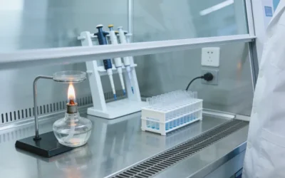 备孕女性查看叶酸补充剂与基因检测报告