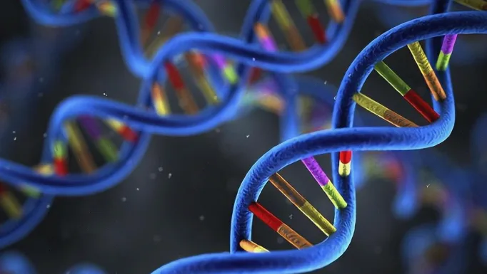 基因检测报告单关键指标示意图