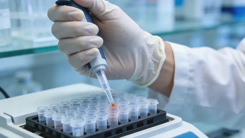 唐氏筛查、NT超声、无创DNA报告对比示意图