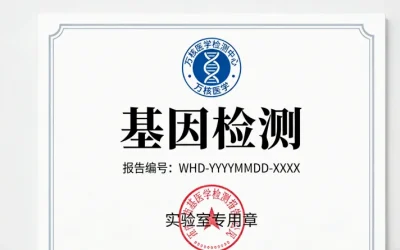 一张对比图：左侧是“血叶酸浓度”（仓库库存表），右侧是“叶酸代谢基因”（生产线设计图）。