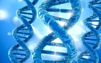 HER2阳性与阴性癌细胞对比示意图