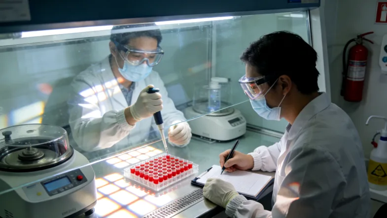 餐盘搭配示意图：优质蛋白、蔬菜和全谷物