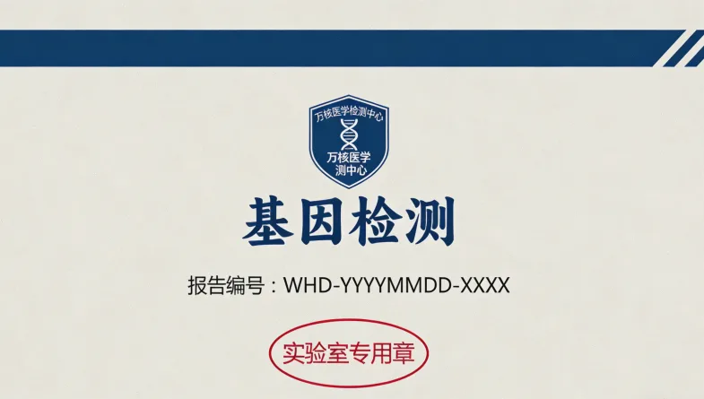 BRCA突变患者治疗路径简图